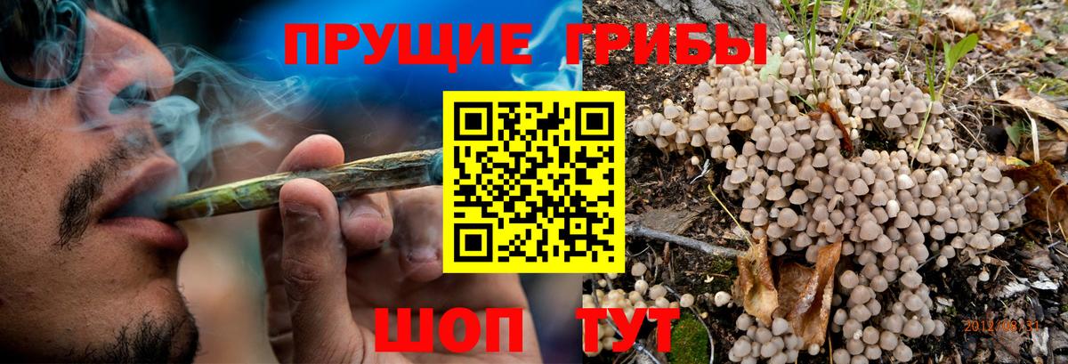 Галлюциногенные грибы мицелий Курчалой